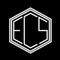 ECS Travel Management